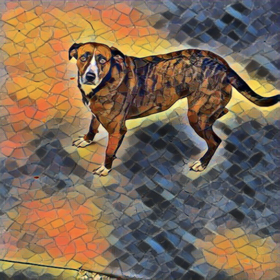 Run, Abby, Run